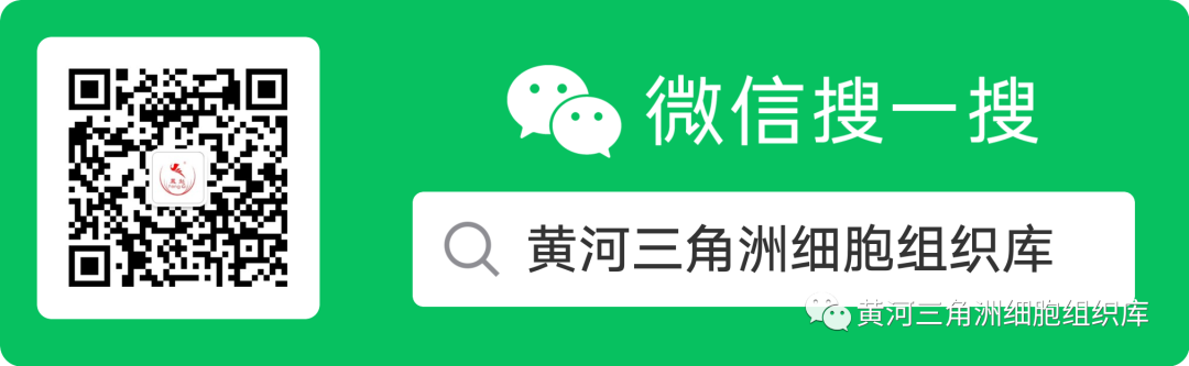 人民日报——多潜能干细胞制备技术有望用于治疗糖尿病、重症肝病、恶性肿瘤等重大疾病